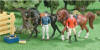 (c) Breyer Animal Creations