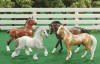 (c) Breyer Animal Creations