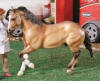 (c) Breyer Animal Creations