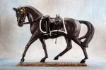 Black Jack