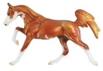 BF2023 Silent Auction Lot 11 - Kansas and Willamette