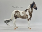BF2023 Live Auction Lot 06 - Hippodrome