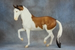 Buckskin Splash Pinto Mare & Foal Lipizzaner Mare