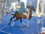 Stagecoach Surprise Glossy Test Model