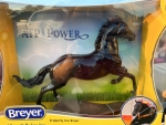 ATP Power, Amberley Snyder's Barrel Racer