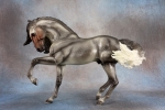 Shimmery Dapple Silver Grey with Somatic Mutation