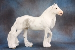 Grey Tobiano-Sabino