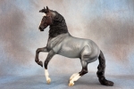 Dapple Blue Roan