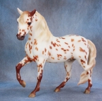 Chestnut Leopard Appaloosa Marabella