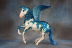 Alborozo Pegasus