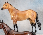 The Ideal Series - Buckskin