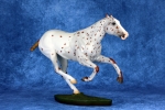 Polo Pony in Chestnut Leopard Appaloosa with Shadow Blanket